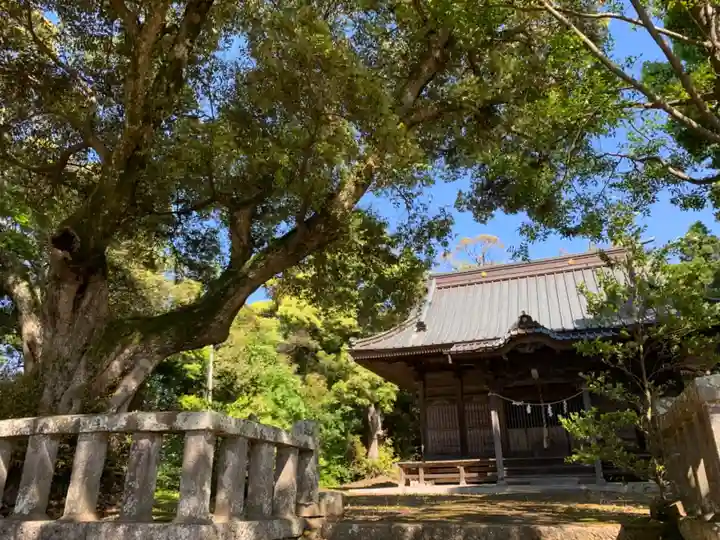 熊野神社の本殿・本堂