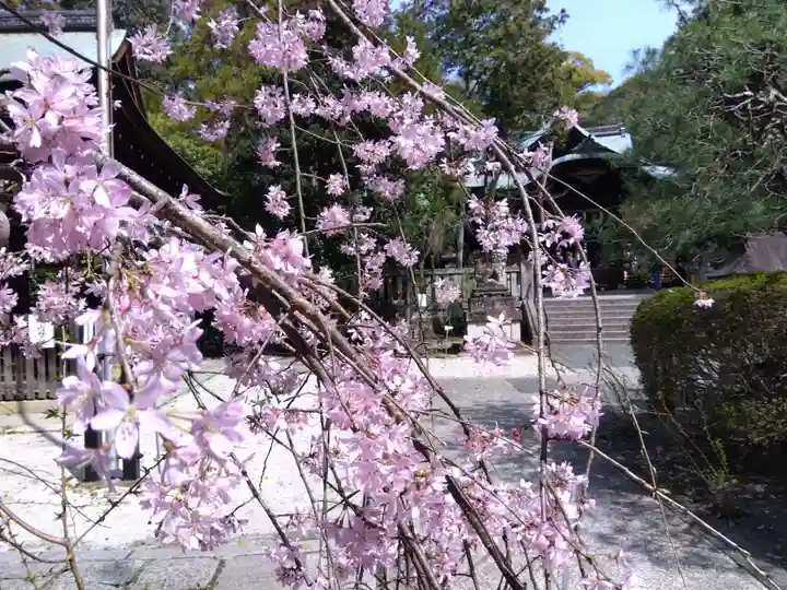 岡崎神社(京都府)