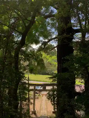 大國主神社の鳥居