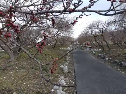 竜雲寺(三重県)
