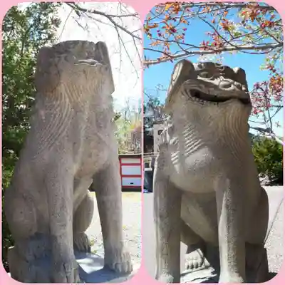 住吉神社の狛犬