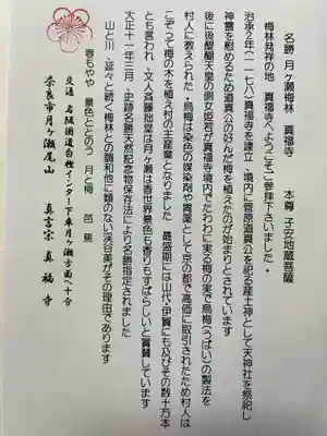 真福寺の御朱印