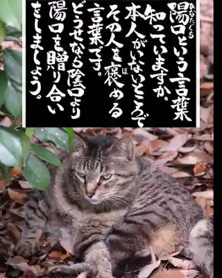 専念寺(大阪府)