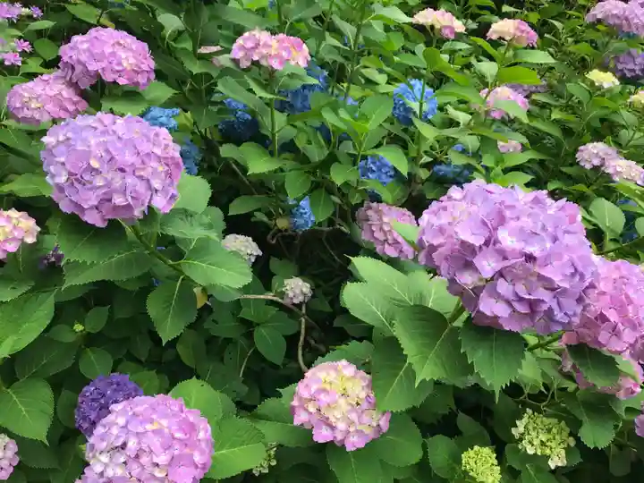 金剛輪寺(滋賀県)