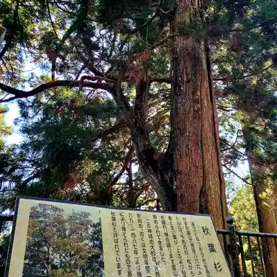 秋葉山本宮 秋葉神社 上社(静岡県)