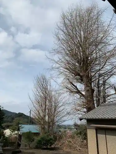 八幡神社の自然