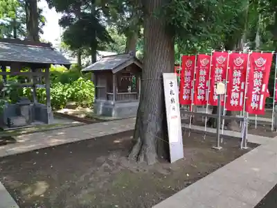 白岡八幡神社の末社・摂社