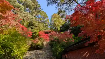 神護寺(京都府)