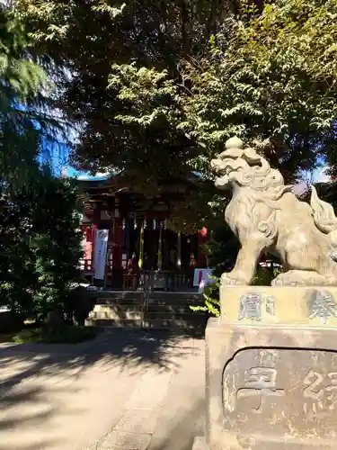 青山熊野神社の狛犬