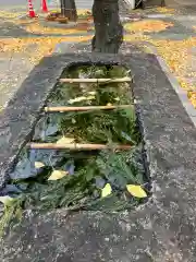 法盛寺の手水