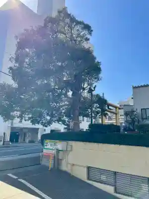 城岡神社の{uncategorized: "未分類", other: "その他", undefined: "問題あり", building: "その他建物", grave: "お墓", sacred_gate: "鳥居", guardian: "狛犬", statue: "像", buddha: "仏像", history: "歴史", nature: "自然", garden: "庭園", animal: "動物", pagoda: "塔", temizu: "手水舎", mountain_gate: "山門・神門", sanctuary: "本殿・本堂", subordinate: "末社・摂社", art: "芸術", scenery: "景色", jizo: "地蔵", ema: "絵馬", goshuin: "御朱印", omikuji: "おみくじ", items: "授与品その他", amulet: "お守り", goshuincho: "御朱印帳", eats: "食事", festival: "お祭り", votive_dance: "神楽", shichigosan: "七五三参", wedding: "結婚式", experience: "体験その他", initially: "初詣", around: "周辺", anti_infection: "感染症対策"}