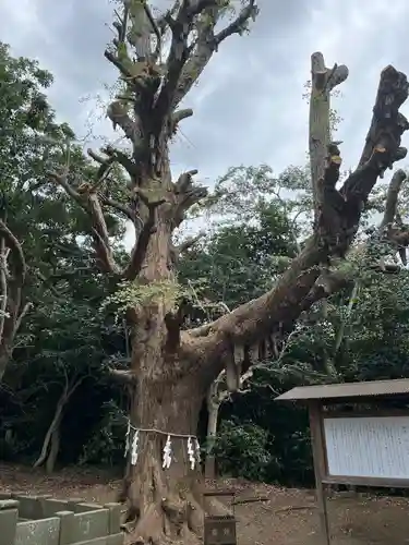 鎌数伊勢大神宮(千葉県)