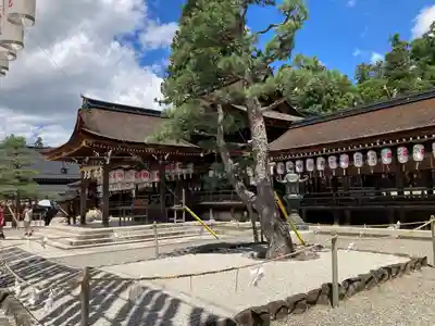 多賀大社のその他建物