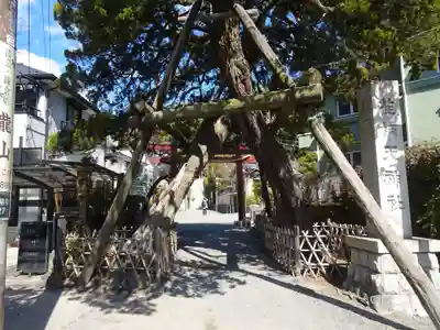 荏柄天神社のその他建物