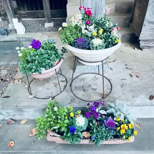 馬場氷川神社(埼玉県)