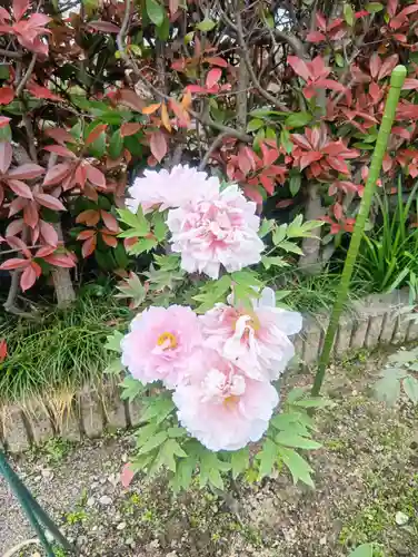 本覚寺(岐阜県)