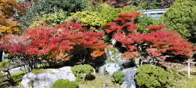 醍醐寺(京都府)