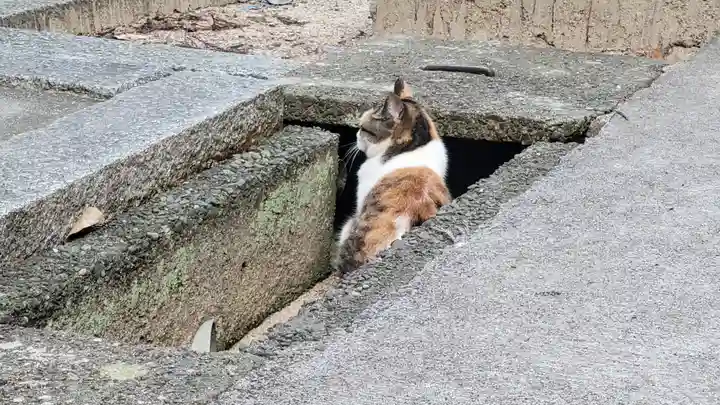 諸山積神社(愛媛県)