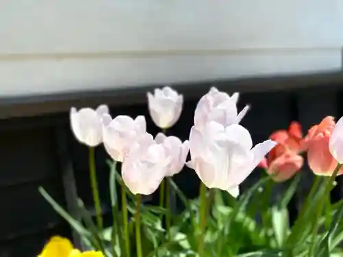 吉祥院(長野県)