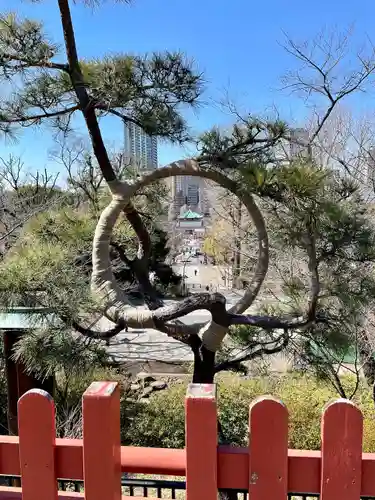 清水観音堂(東京都)