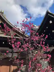 大阪天満宮(大阪府)