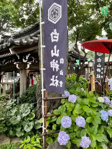 白山神社の庭園