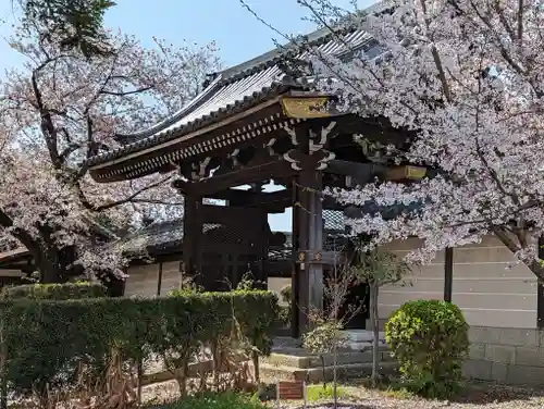 本願寺山科別院(京都府)