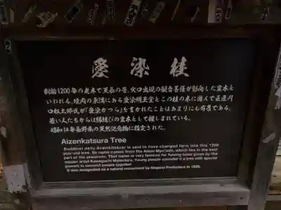 北向観音(長野県)