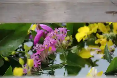 豊景神社の手水舎