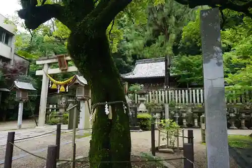 橿森神社の自然