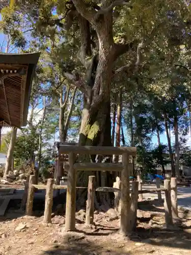 小宅神社のその他建物