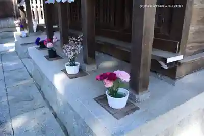 草加神社(埼玉県)