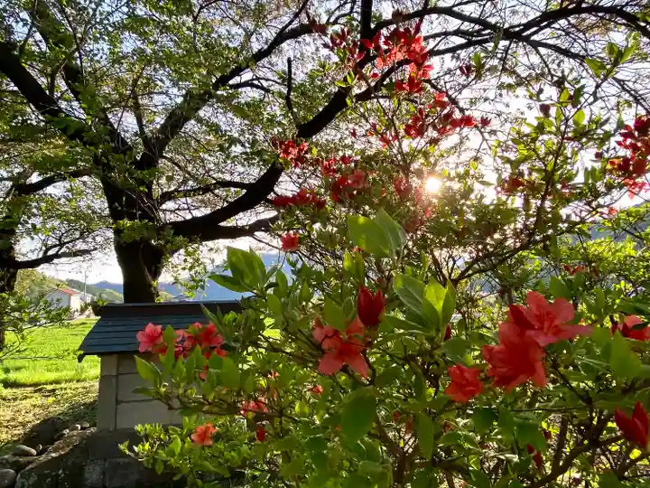 天神宮(伝河原氏屋敷跡)の自然