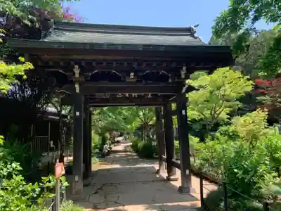 本土寺の山門・神門
