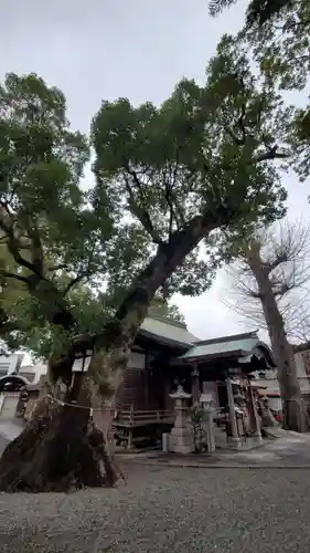 蟻通神社の本殿・本堂