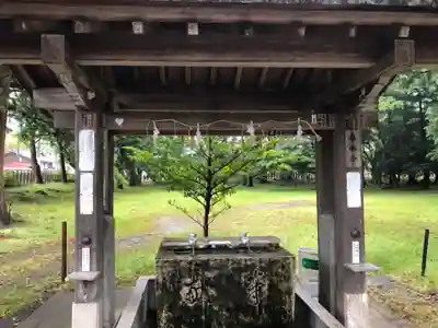 若狭姫神社（若狭彦神社下社）の手水舎
