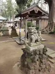 率土神社の狛犬