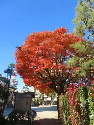 善願寺(栃木県)