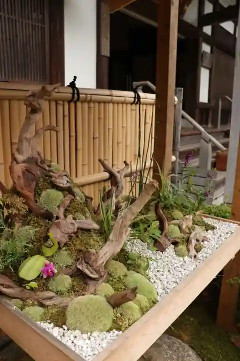 報国寺(神奈川県)