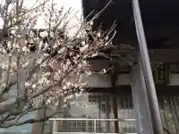 本法寺(静岡県)