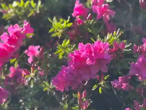 伊勢の国 四天王寺(三重県)