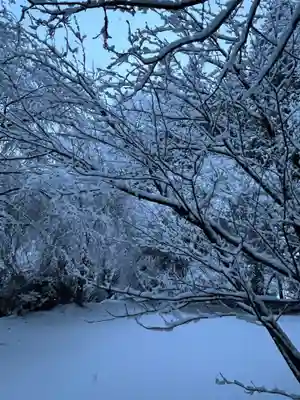 大宮温泉神社(栃木県)