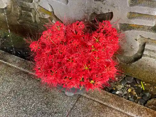 櫻山八幡宮(岐阜県)