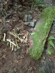 加蘇山神社 奥ノ宮の自然