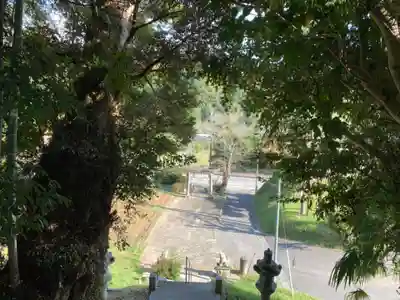 面足神社(千葉県)