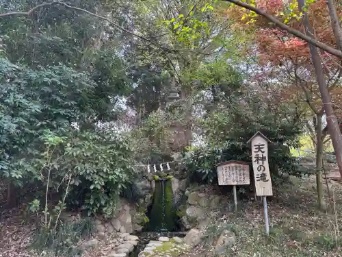  高鳥天満宮の{uncategorized: "未分類", other: "その他", undefined: "問題あり", building: "その他建物", grave: "お墓", sacred_gate: "鳥居", guardian: "狛犬", statue: "像", buddha: "仏像", history: "歴史", nature: "自然", garden: "庭園", animal: "動物", pagoda: "塔", temizu: "手水舎", mountain_gate: "山門・神門", sanctuary: "本殿・本堂", subordinate: "末社・摂社", art: "芸術", scenery: "景色", jizo: "地蔵", ema: "絵馬", goshuin: "御朱印", omikuji: "おみくじ", items: "授与品その他", amulet: "お守り", goshuincho: "御朱印帳", eats: "食事", festival: "お祭り", votive_dance: "神楽", shichigosan: "七五三参", wedding: "結婚式", experience: "体験その他", initially: "初詣", around: "周辺", anti_infection: "感染症対策"}