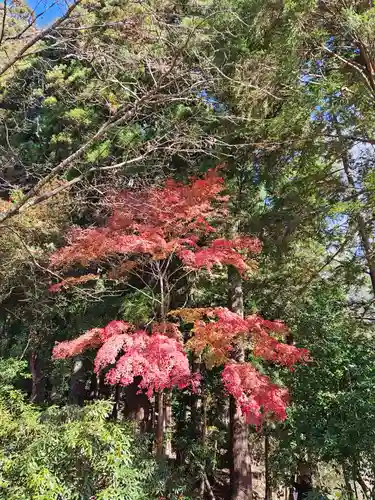 室生寺(奈良県)