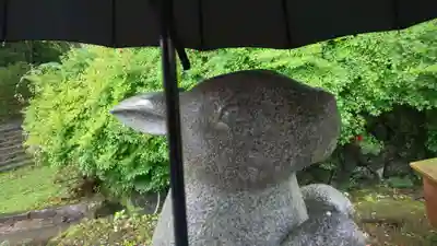 出雲大神宮の狛犬