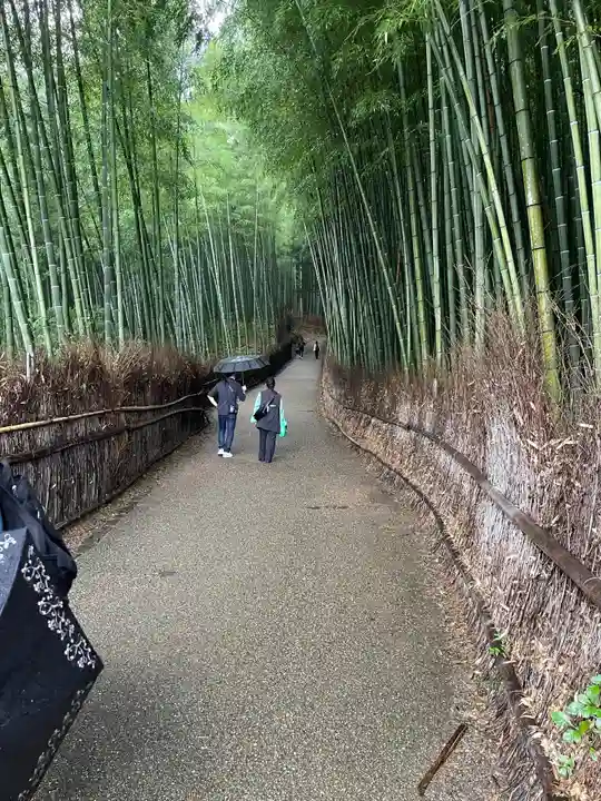 野宮神社(京都府)