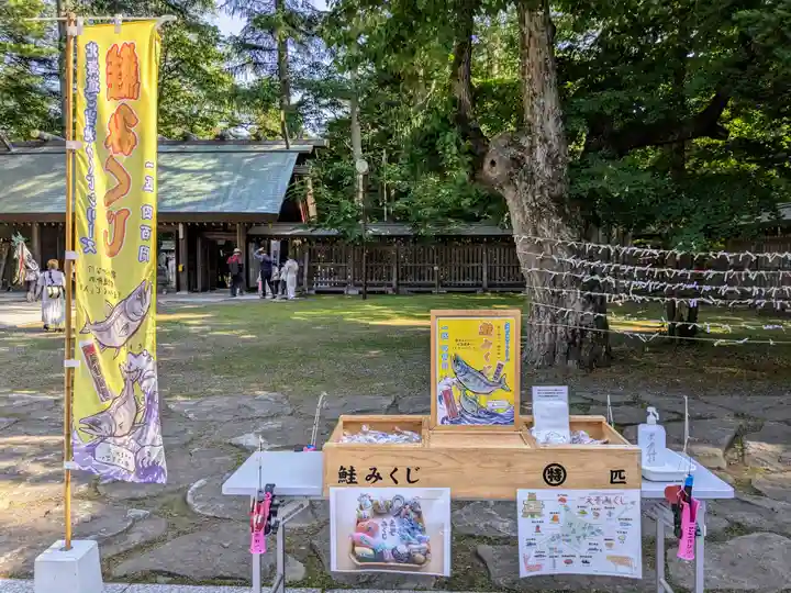 帯廣神社のおみくじ